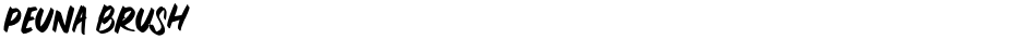 PEUNA BRUSHDemo