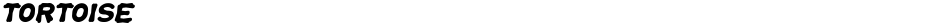 TORTOISEDemo