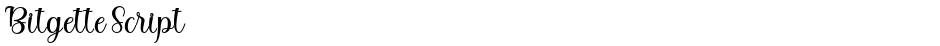 Bitgette ScriptDemo