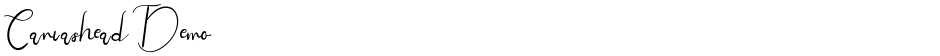 Canvashead DemoDemo