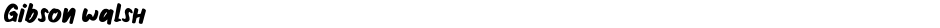 Gibson walshDemo