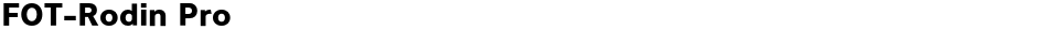 FOT-Rodin ProDemo