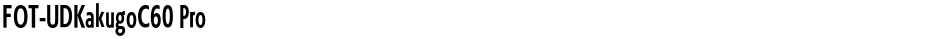 FOT-UDKakugoC60 ProDemo