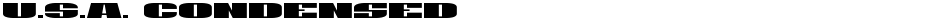 U.S.A. CondensedDemo