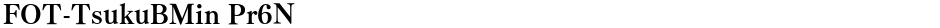 FOT-TsukuBMin Pr6NDemo