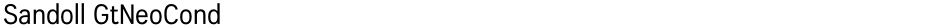 Sandoll GtNeoCondDemo