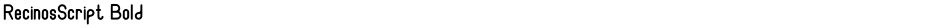 RecinosScript BoldDemo