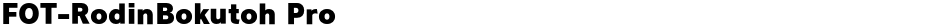 FOT-RodinBokutoh ProDemo