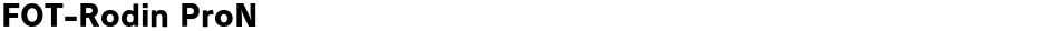 FOT-Rodin ProNDemo