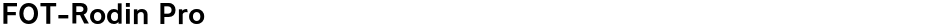 FOT-Rodin ProDemo