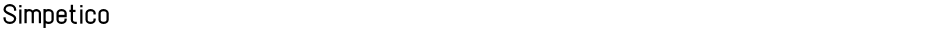 SimpeticoDemo