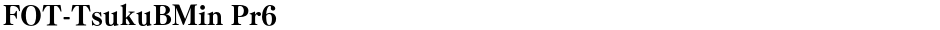 FOT-TsukuBMin Pr6Demo