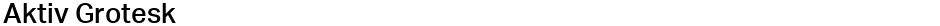 Aktiv GroteskDemo