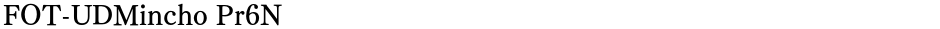 FOT-UDMincho Pr6NDemo