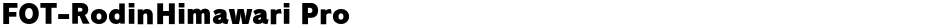FOT-RodinHimawari ProDemo