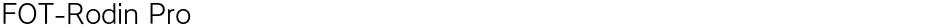 FOT-Rodin ProDemo