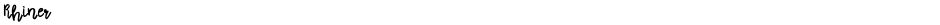 RhinerDemo