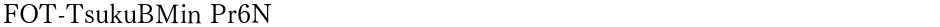 FOT-TsukuBMin Pr6NDemo