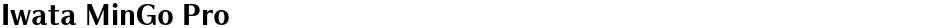 Iwata MinGo ProDemo