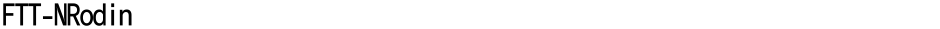 FTT-NRodinDemo