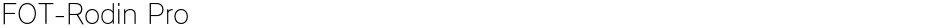 FOT-Rodin ProDemo