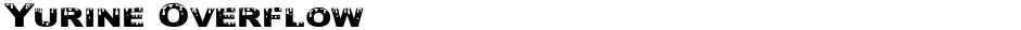 Yurine OverflowDemo