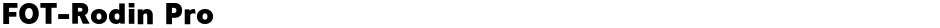 FOT-Rodin ProDemo