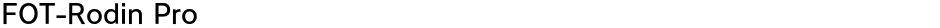 FOT-Rodin ProDemo
