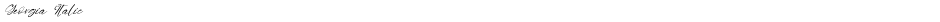 Georgia ItalicDemo