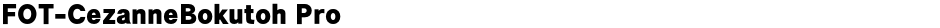 FOT-CezanneBokutoh ProDemo