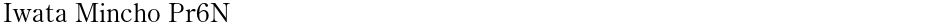 Iwata Mincho Pr6NDemo