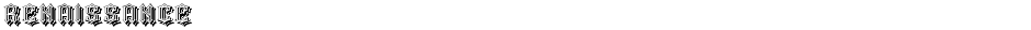 RenaissanceDemo