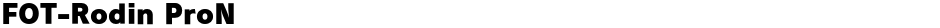 FOT-Rodin ProNDemo